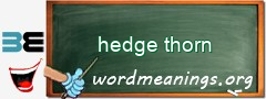 WordMeaning blackboard for hedge thorn